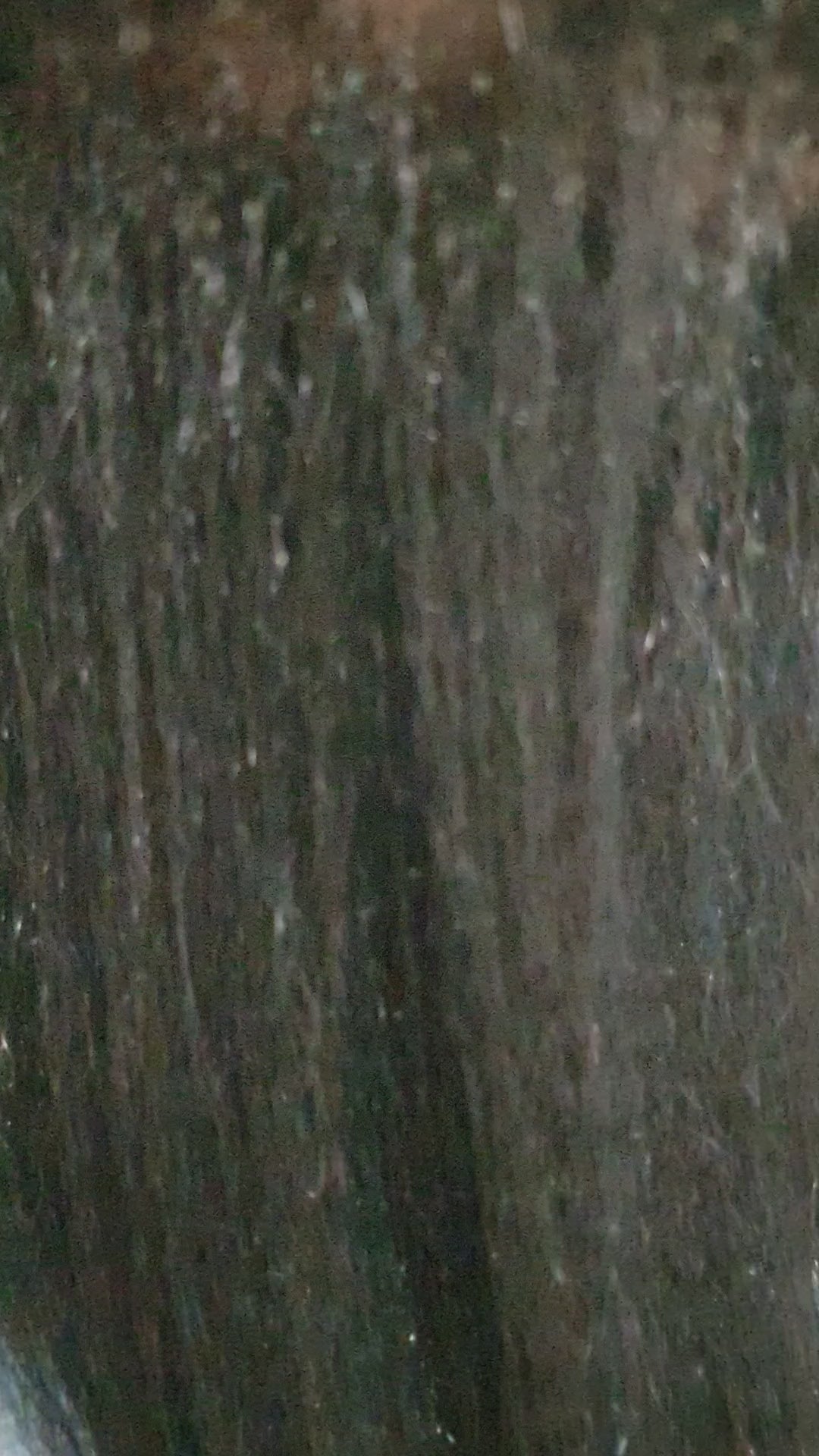 Charger la vidéo : 